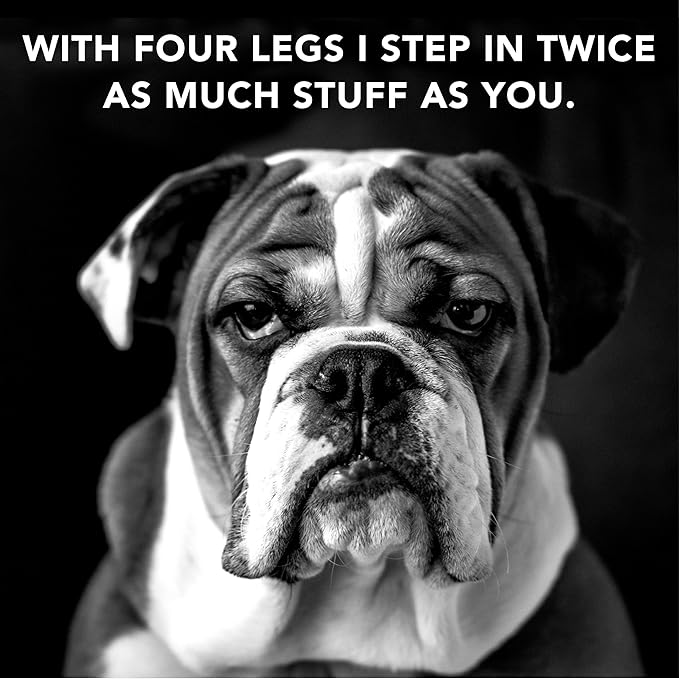 Pride and Groom The Swipe – Soothing Coat Grooming Dog and Pet Wipes with Signature Scent for Quick Cleaning & Deodorizing Face, Paw, Fur in Between Baths and After Dinner & Playtime – 50 Wipes