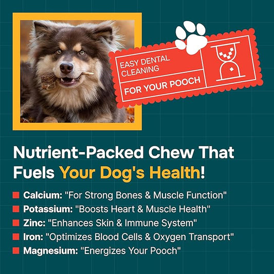 100% Natural - Elk Antlers for Dogs - Naturally Shed in USA - Long Lasting Chews for Aggressive Chewers - Natural, Real Dog Antler Treats & Toys - Dog Chews - No Odor & No Mess - Large