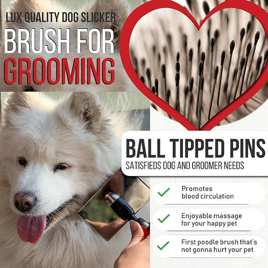Slicker Brush for Dogs With Coated Tips - Extra Long Pins Removes Tangles - Doodle and Goldendoodle Brush Goes Deep Into Undercoat - Golden Retriever Brush for Shedding - Cepillo Para Perros