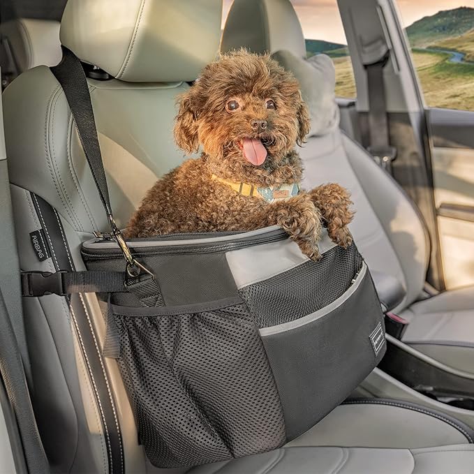 Petsfit Dog Bike Basket, Small Dog Car Seat with Front Pocket, Puppy Car Seat for Small Dogs and Pets (Black)