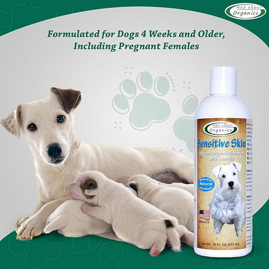 Dog Shampoo for Sensitive Skin - Lanolin-Enriched Formula - pH Balanced to Support Natural Oils - Light Citrus Scent - Suitable for All Dogs - Moisturizes and Softens Coats - 16 oz