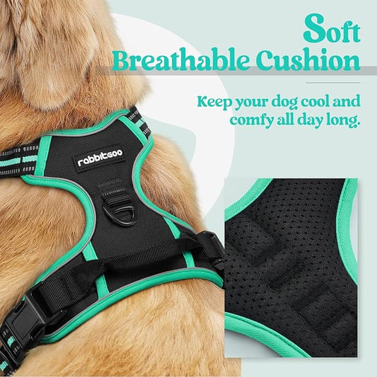 rabbitgoo Dog Harness No Pull with 2 Leash Clips, Adjustable Soft Padded, Reflective Oxford No Choke Pet Vest with Easy Control Handle for Large Dogs, Black & Turquoise, XL