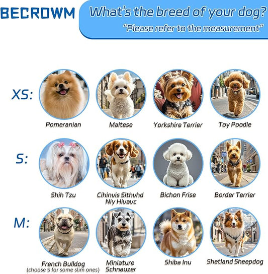 Small Dog Wheelchair for Back Legs, Light Weight Dog&Cat&Pets Wheelchair Cart with Disabled Hind Legs Walking, Adjustable Doggy Wheelchair Cart with Wheels for Back Legs