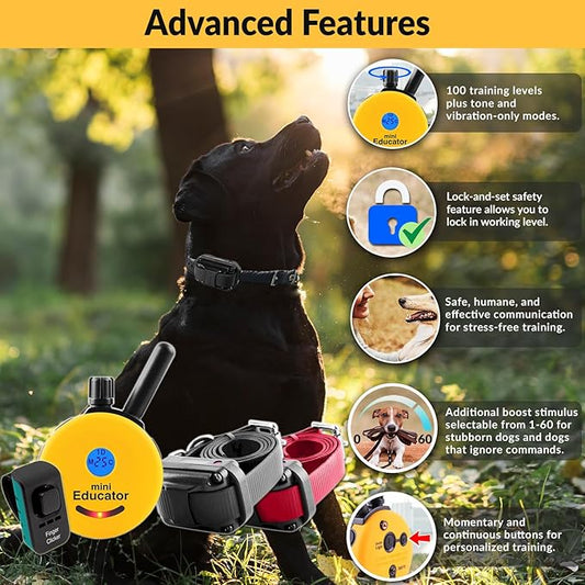E-Collar – Educator ET-302-1/2 Mile Waterproof Remote Dog Training Collar Includes Premium Finger Clicker Trainer, 100 Programmable Levels + Vibration + Light + Sound