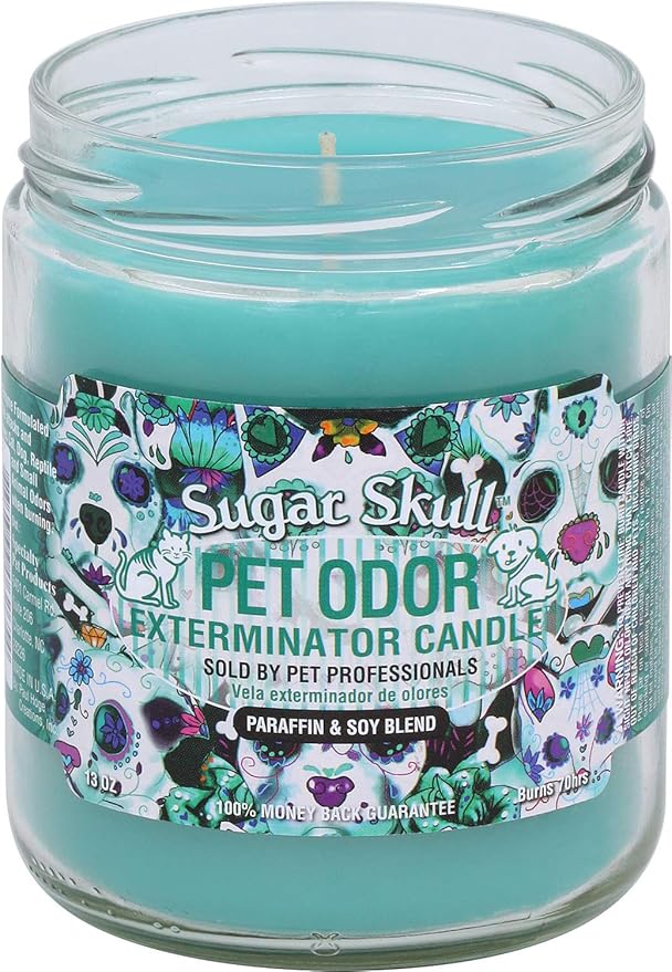 Pet Odor Exterminator Candle, Sugar Skull - Pack of 2