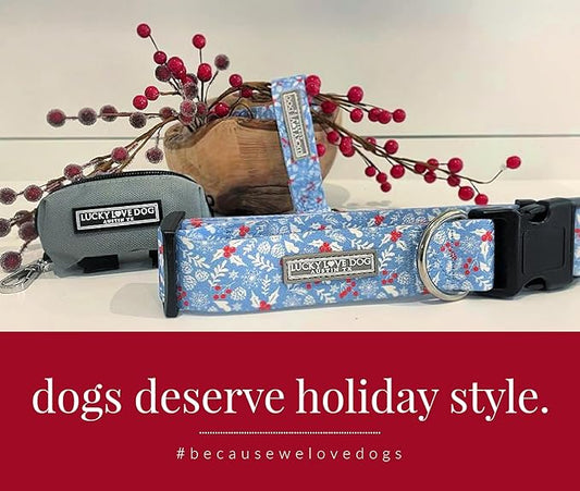 Lucky Love Dog Blue Winter Combo Set, Adjustuble Comfortable Dog Collar and Leash Set, Snowflake Christmas Combo Set for Medium Dogs - (Winterblue Combo, Medium)