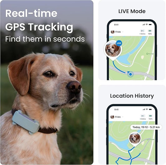 Tractive GPS Dog Tracker (2025 Release with Free 6 Month Subscription) | Real-time Pet Location Tracker | Health & Wellness Alerts | Virtual Fence for Dogs | Bark Monitoring (Mint)