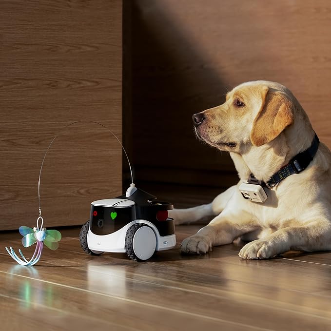 ROLA PetTracker GPS Tracking for Dogs: Live GPS Location, Cellular & WiFi, Replacable SIM Card, Geofencing, Built-in Light and Sound, Camera for Image Positioning (White)