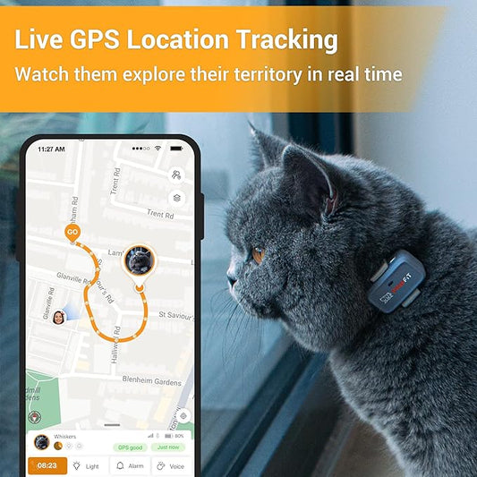Lite for Cats 4g GPS Tracker | Real Time Tracking | Activity Monitoring |Location History | Unlimited Range | Safety Collar Included | Onyx Black
