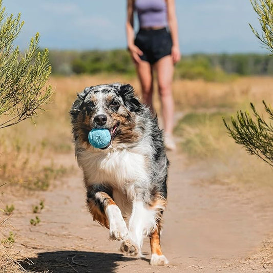 Chuckit! The Whistler Ball Dog Toy, Medium (2.5 Inch Diameter) for Dogs 20-60 lbs, Pack of 1