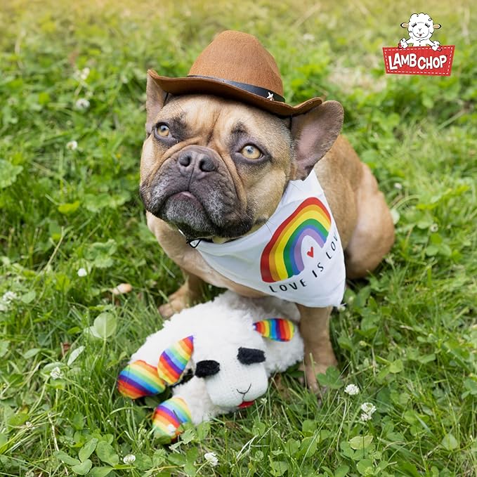 Multipet Lamb Chop Dog Plush Toy w/Birthday Hat - Squeaky Dog Toy for All Dogs - Soft Plush Dog Toy - Stuffed Animal Dog Toy for Playing - Cute Dog Birthday Toy (10.5”, Pink Hat, 5 Squeakers)