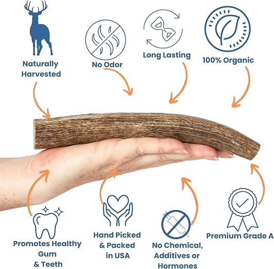 Elk Antlers for Dogs - Dog Antlers for Aggressive Chewers - USA Sourced Elk Antler for Dogs to Promote Oral Health - Long Lasting Antler Chews for Small, Medium, Large & XLarge Dogs