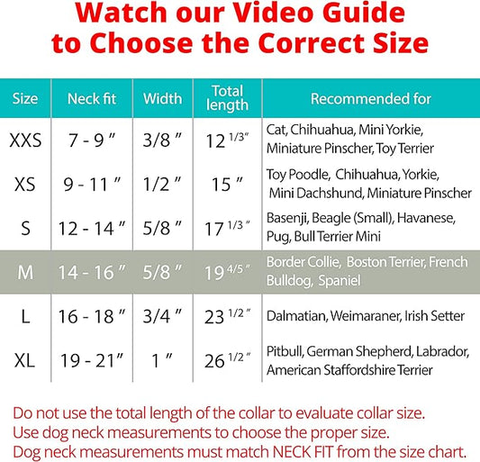 BRONZEDOG Rolled Leather Dog Collar with QR ID Tag Adjustable Soft Round Collars for Small Medium Large Dogs Puppy Cat (14" - 16" Neck Size, Turquoise)