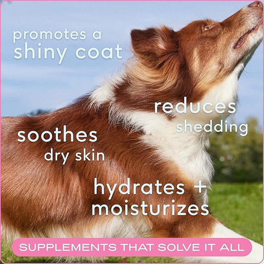 Native Pet Omega Skin and Coat Chews for Dogs - Dog Skin and Coat Supplement for Healthy, Shiny Fur, Reduce Shedding and Dry Spots - Made with Omega 3 Fish Oil and Wild-Caught Salmon Oil - 60 Chews