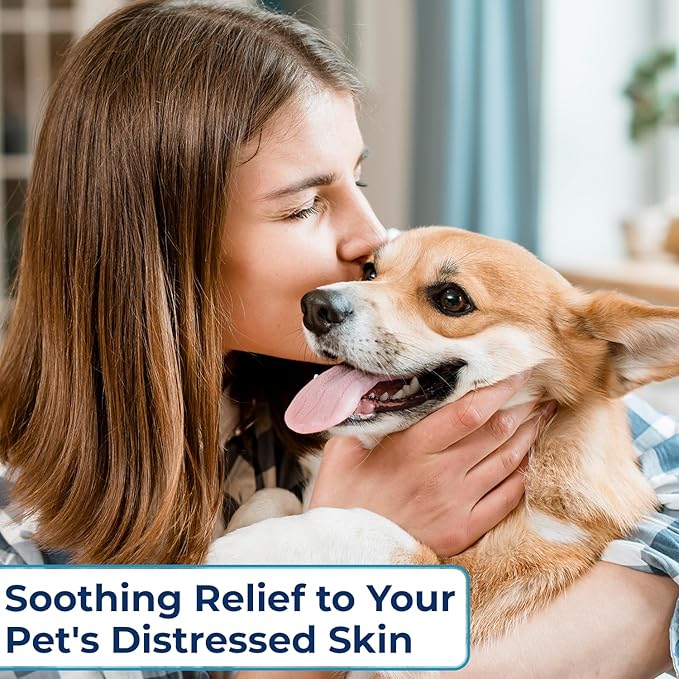 Replenish Anti Itch Dog Shampoo with Ketoconazole and Chlorhexidine for Dog Skin Irritation Treatment & Itchy Skin Relief - Dr. Rachelβs Veterinary Formula Dog Shampoo with Cucumber Melon Scent - 8 oz