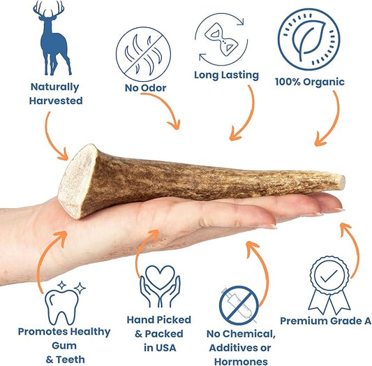 Elk Antlers for Dogs - Dog Antlers for Aggressive Chewers - USA Sourced Elk Antler for Dogs to Promote Oral Health - Long Lasting Antler Chews for Small, Medium, Large & XLarge Dogs
