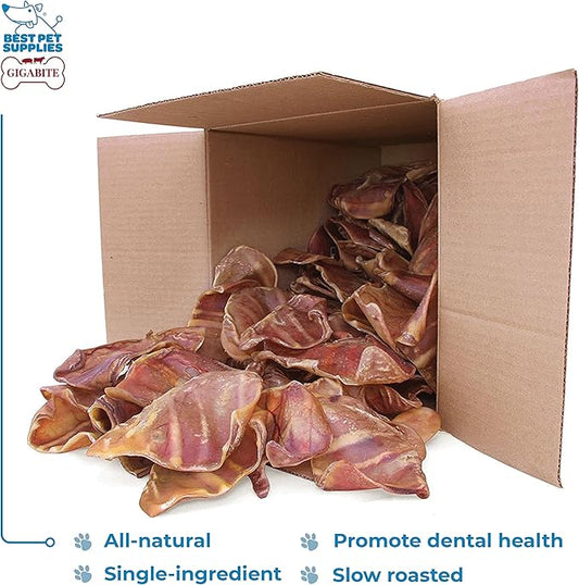 GigaBite Roasted Pig Ears for Dogs, Natural and Healthy Chews, Treats in Whole, Slices, or Sticks, Safe for Puppies and Aggressive Chewers, Clean Teeth and Gums - Pack of 100