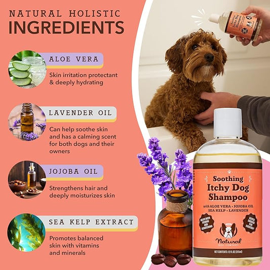 Natural Dog Company Itchy Dog Shampoo, 12 oz., Dog Dry Skin Treatment, Dog Itch Relief, Hypoallergenic, Plant Based Ingredients, Deodorizing Dog Shampoo, Relief from Skin Allergy Symptoms