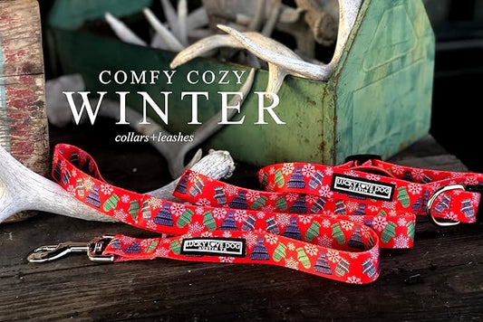 Lucky Love Dog, Winter Stocking Caps and Mittens Dog Collar and Leash Set, Matching Snowflakes Collar and Leash for Male and Female Dogs - (Extra Small, Chilly Combo)
