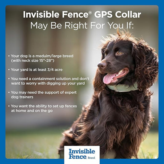 Invisible Fence GPS Dog Fence & Tracking Collar, Wireless Dog Fence & GPS Tracker, Create up to 20 Electric Fences, for Medium & Large Dogs with Neck Sizes 15"-28", Waterproof - Subscription Included