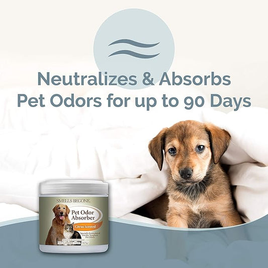 SMELLS BEGONE Air Freshener Pet Odor Absorber Gel - 15 oz, Pack of 2 - Absorbs and Eliminates Odor in Pet Areas, Bathrooms, Cars, & Boats - Made with Essential Oils - Citrus Scent