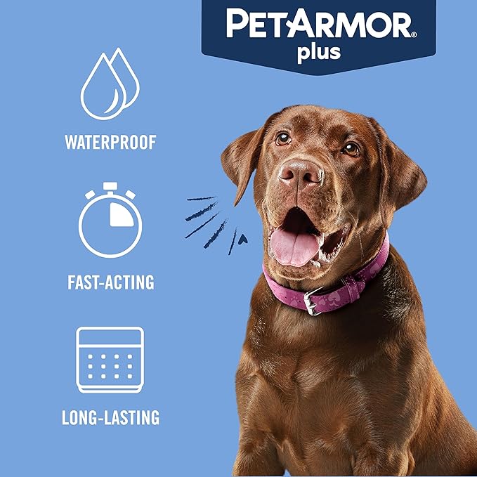 PetArmor Plus Flea and Tick Prevention for Dogs, Large Dog Flea and Tick Treatment, 12 Doses, Waterproof Topical, Fast Acting (45-88 lbs)