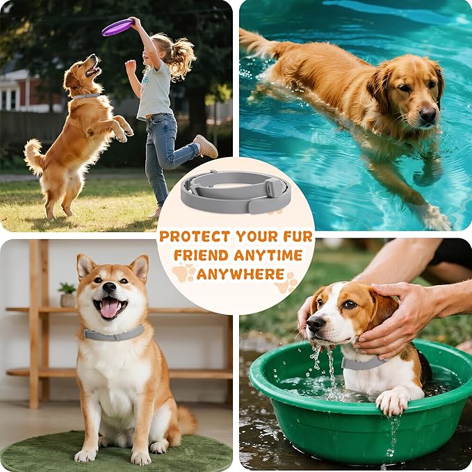 4 Pack Effective Flea Collar for Dogs, 25" Adjustable Natural Pet Flea and Tick Prevention Collars for Large Medium Small Dogs, Waterproof Fleas Ticks Collar for Puppies, 32 Months Protection, Gray