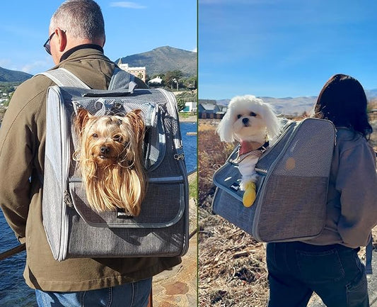 Pecute Cat Backpack Carrier, Small Dog Backpack Carrier, Pet Backpack Carrier for Cats Dogs Puppy Kitten, Cat Carrier Bag Carrying for Travel Hiking Bike Riding Walking Outdoor,Light Gray