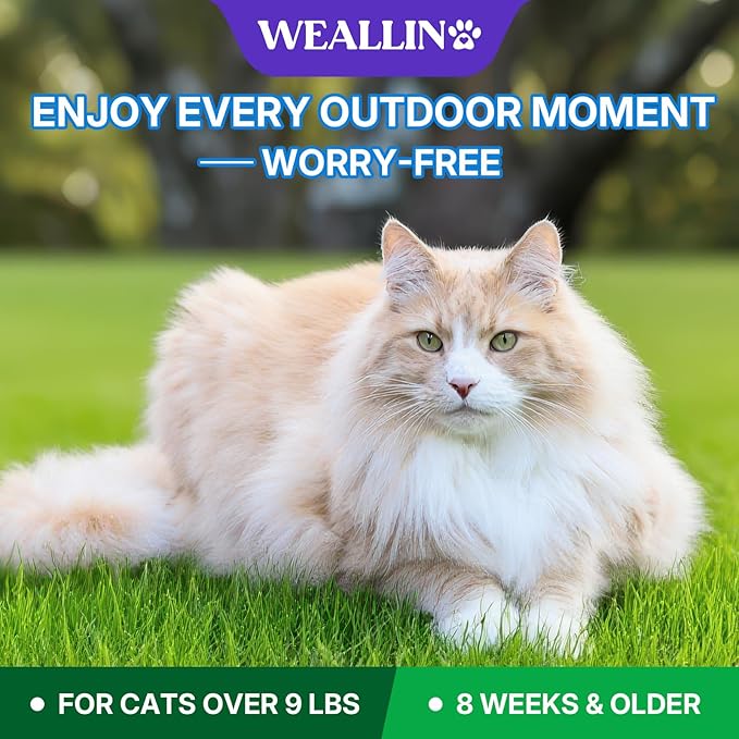 Flea and Tick Prevention for Large Cat, Fleas and Ticks Treatment for Cats Over 9 lbs, Topical Cat Flea Treatment, Fast-Acting & Long-Lasting Fleas Control for Cats, 6-Dose Supply