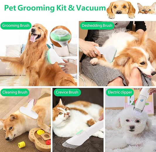 PioneerWorks Pet Grooming Vaccum, 13400Pa Pet Grooming Kit for Dogs at Home, Low Noise Pet Hair Vacuum Cleaners for Home Pets, with 5 Dog Grooming Tools for Dogs, 2L Dust Cup