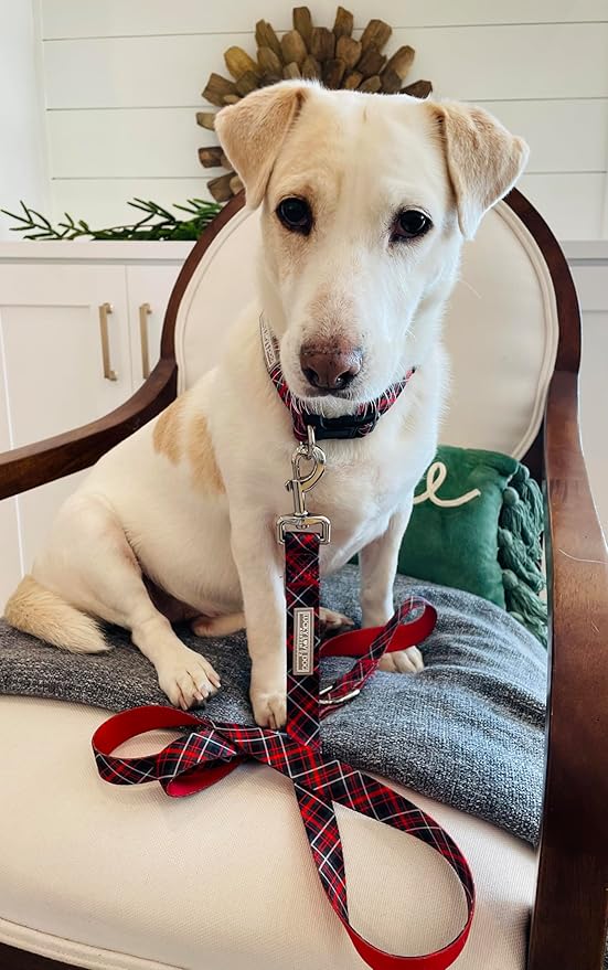 Lucky Love Dog Collar and Leash Set, Beautiful Evergreen Dog Collar, Vivid Berry Plaid Dog Collar for Boy and Girl Dogs - (Medium, Heywood Combo)