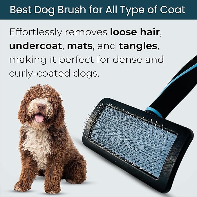 Pet Slicker Brush (Small Size, Black) for Grooming Pet Hair with Fluff Detangle Style β Dog Brush for Long & Short Haired Dogs for Goldendoodles β Curved Pin for β Removes Tangles & Loose Fur