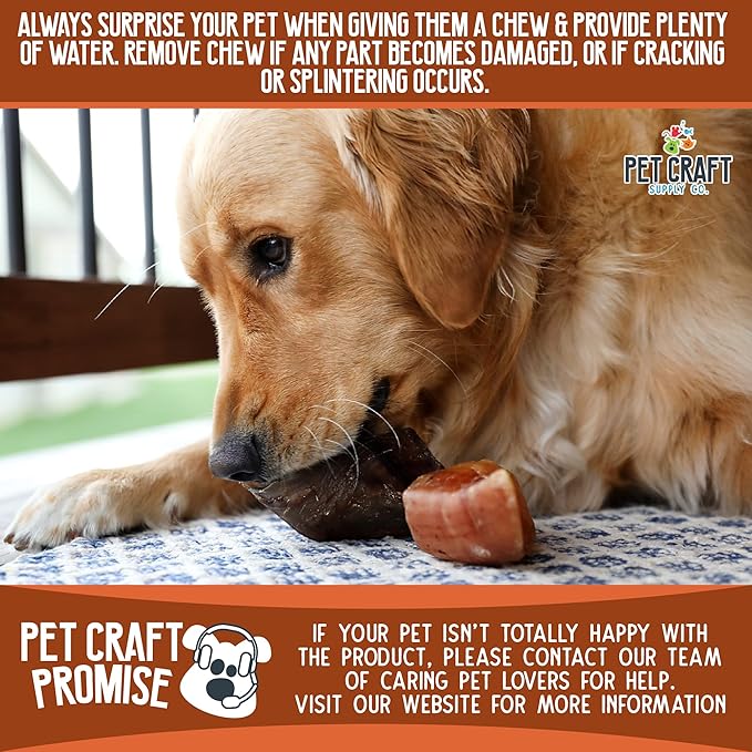 Pet Craft Supply ALL Natural Healthy Buffalo Hooves Bones Dog Chews Treats for Aggressive Chewers Long Lasting Rawhide Free Made in USA Premium Slow Roasted for Puppies Small Medium Large Dogs 10 Pack