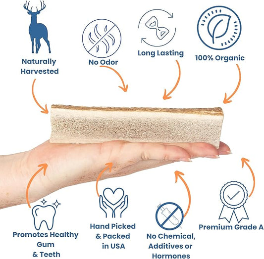 Split Antler for Dogs - Natural Dog Antlers for Aggressive Chewers - USA Sourced Elk Antlers for Dogs Small, Medium, Large - Healthy Elk Antlers for Teeth Cleaning & Chewing Pleasure