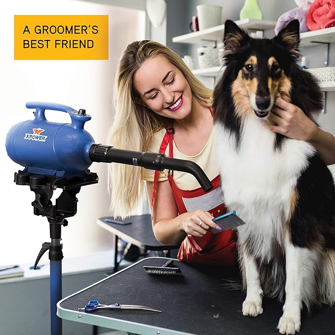 XPOWER B-4 Professional Pet Grooming Force Dryer with Powerful and Quiet Motor, Variable Speed Control, Versatile For All Coats and Breeds