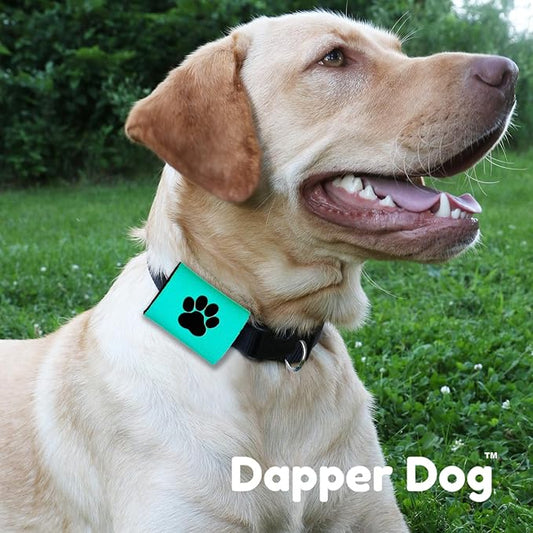 Dapper Dog Pet Tag Silencer and AirTag Holder (Teal with Black Paw)
