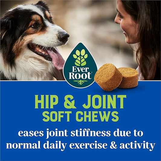 by Purina Hip and Joint Dog Supplements Soft Chews - 10.6 oz. Canister