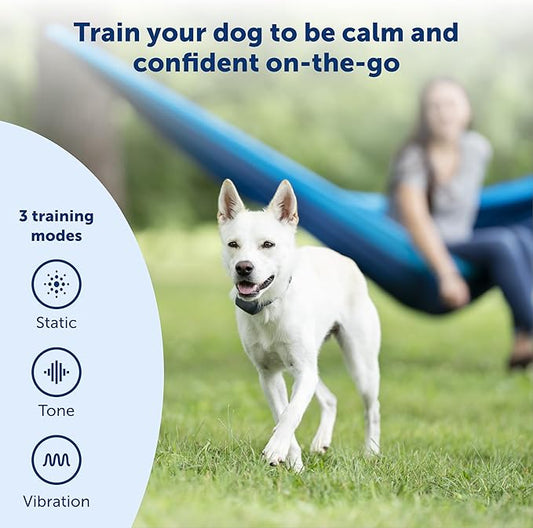 PetSafe 300 Yard Remote Training Collar – 2 Dog Kit – Lite Version for Small or Medium Dogs, Tone, Vibration & 15 Levels of Safe & Humane Static Stimulation, Medium Range Option, Train Off Leash Dogs