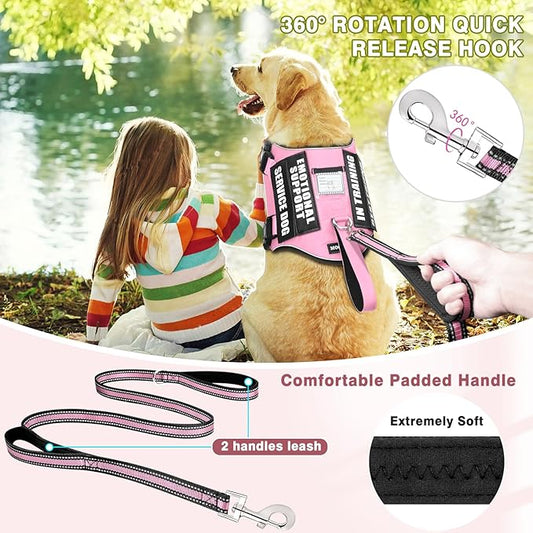 Service Dog Vest Harness and Leash Set+10 Patches,No Pull&Easy Walk Reflective Dog Harness with Soft Padded Handle for Training/Everyday,Fit Small/Medium/Large/Extra-Large Dogs (Pink XL)