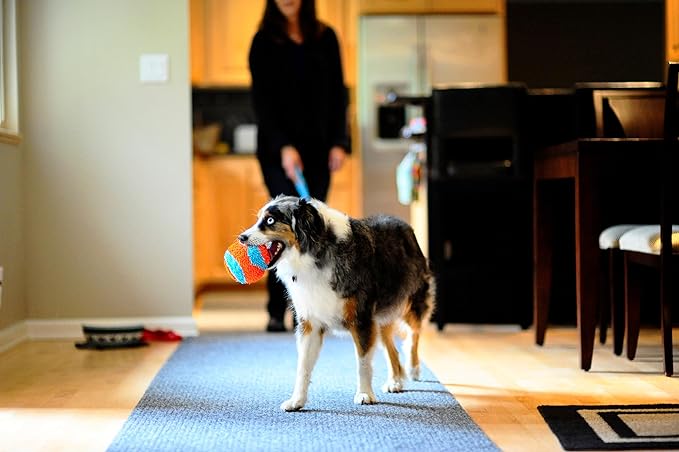 Chuckit! Indoor Fetch Ball Dog Toy - Soft Ball for Small to Medium Dogs Weighing 0-20 Lbs and 20-60 Lbs - Made with Durable, Lightweight, Plush Chenille Fabric - 4.75-inch Diameter - Orange and Blue