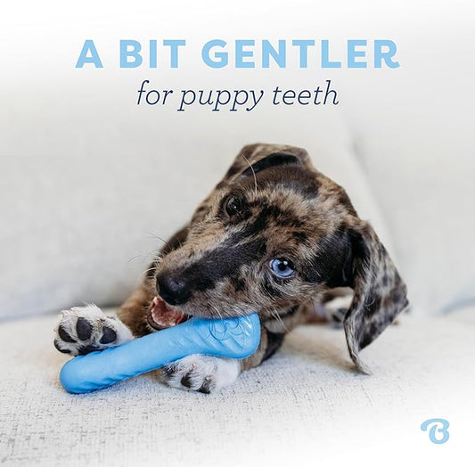 Benebone Puppy Maplestick Dog Chew Toy, Made in USA, Real Maple Wood Flavor, Small