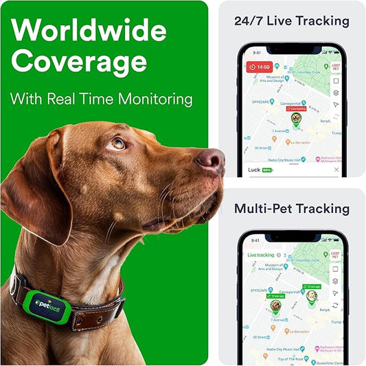 GPS Pet Tracker for Dogs by Petloc8 - Dog Tracker Fits on Your Pets Collar, Waterproof, Smart App Controllable Geofencing and Pet Location History, Subscription is Required