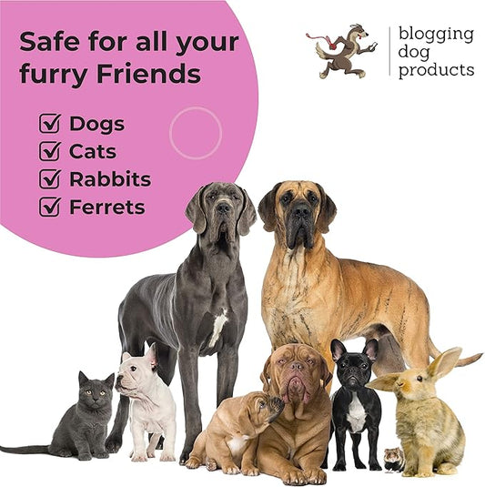 Dog Perfume Spray Long Lasting - Pet Odor Eliminator - Dog Cologne Spray - Premium Dog Deodorant Spray for Smelly Dogs - Refreshing Dog Deodorizer Spray for Grooming…