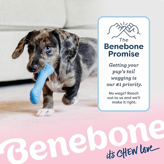 Benebone Puppy Maplestick Dog Chew Toy, Made in USA, Real Maple Wood Flavor, Small