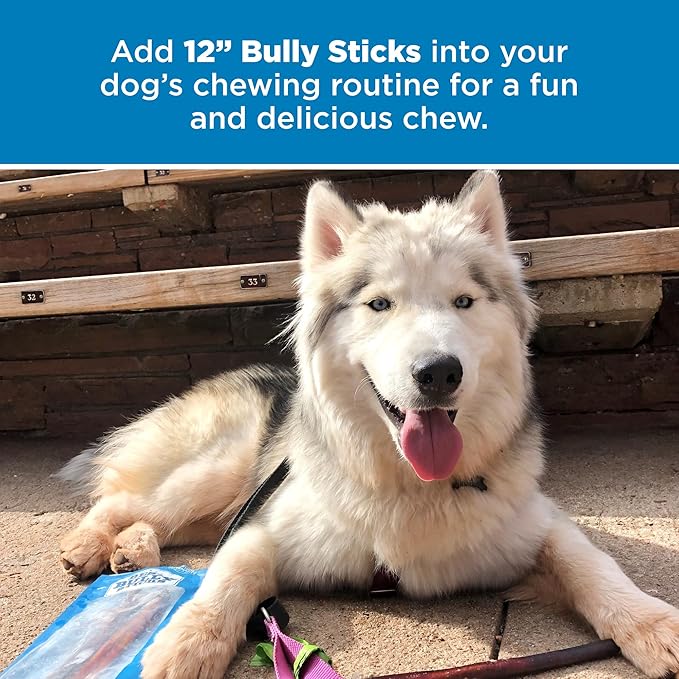 Best Bully Sticks 12 Inch All-Natural Bully Sticks for Dogs - 12” Fully Digestible, 100% Grass-Fed Beef, Grain and Rawhide Free | 25 Pack