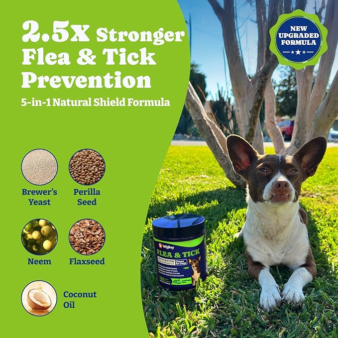 Flea & Tick Prevention for Dogs Chewables, YoYoBay Natural Dog Fleas and Ticks Control Supplement, Dogs Supplement, Natural Shield 5-in-1 Protection, Lamb & Apple Flavor, 180 Soft Chews