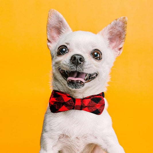 Segarty Puppy Bow Ties, 10 PCS Dog Bowtie Collar Bulk Holiday Cat Collar Grooming Bows for Pet Photography Festival Party Neck Wear Gift, Cute and Plaid Patterned