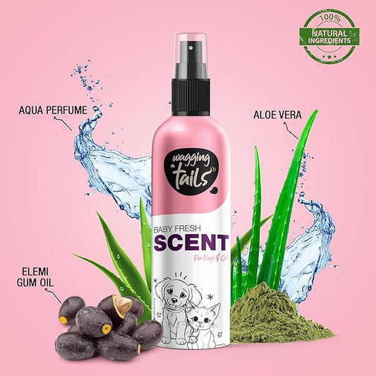 Wagging Tails 5-in-1 Baby Fresh Scent for Dogs & Cats, 6.7 fl oz | Alcohol-Free Pet Spray | Sensitive Skin Friendly & Deep Moisture Formula | Long-Lasting Scent, Non-Toxic | Suitable for All Breeds