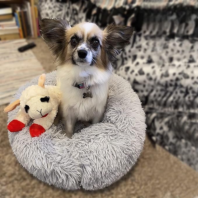 nononfish Dog Bed for Small Dogs,Gray Cute Plush Dog Bed ,19 inches Anti Anxiety Puppy Bed Washable,Machine Washable Fits up to 15 lbs Pets Beds for Small Dog.