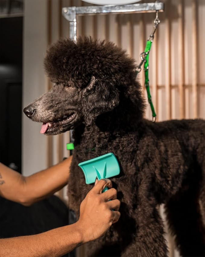 Jelly Pet Universal Slicker Brush for Dogs, Dog Grooming Brush, Remove Tangles and Dead Undercoat, Tuffer Than Tangles Maltese Shi-Tzu Poodle Bichon, Soft Pins, Purple, Small